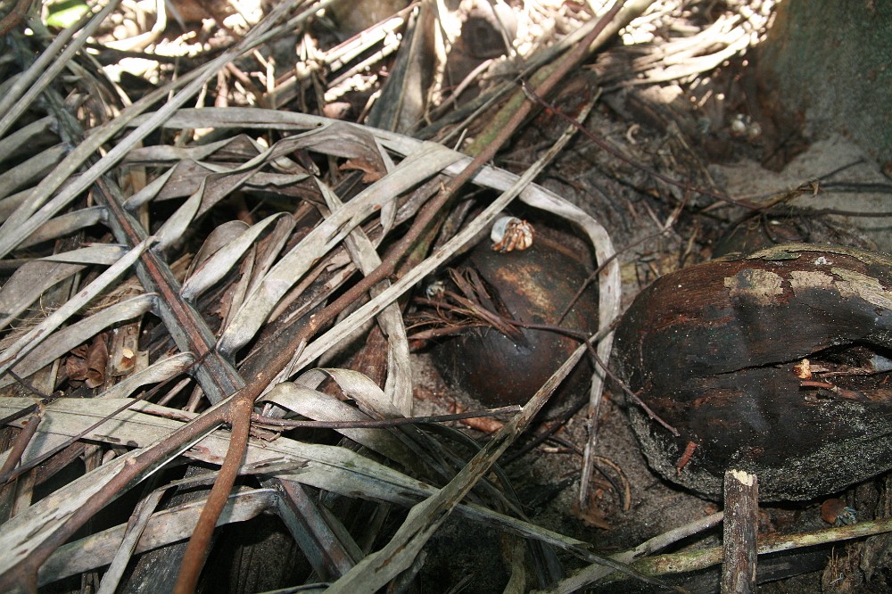 P_2007-12-20 13-00-52_1215.JPG